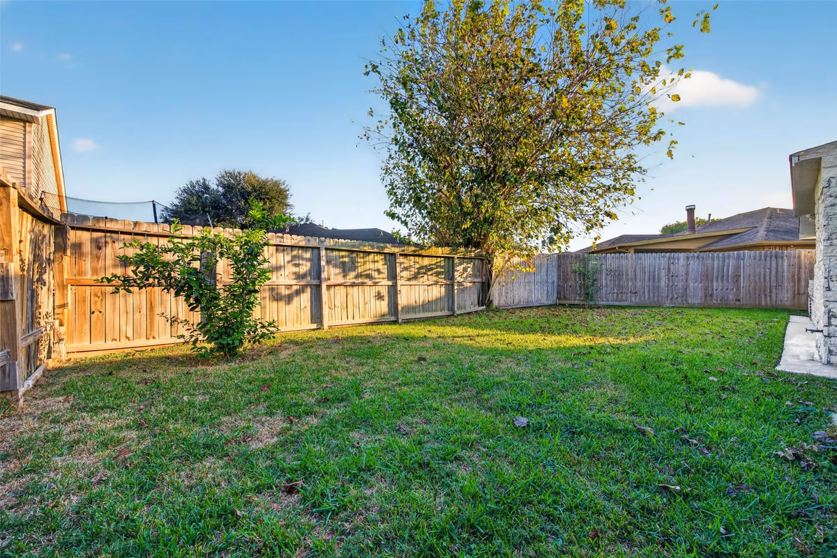 Backyard