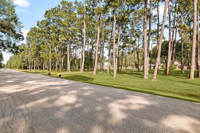 Photo 3 of 7302 Pine Drive, Alvin, TX