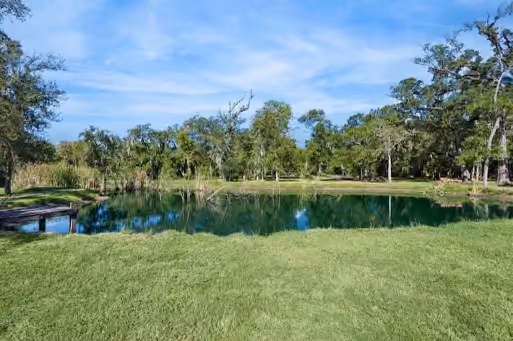 Photo 7 of 17502 Hamill Drive, Rosharon, TX