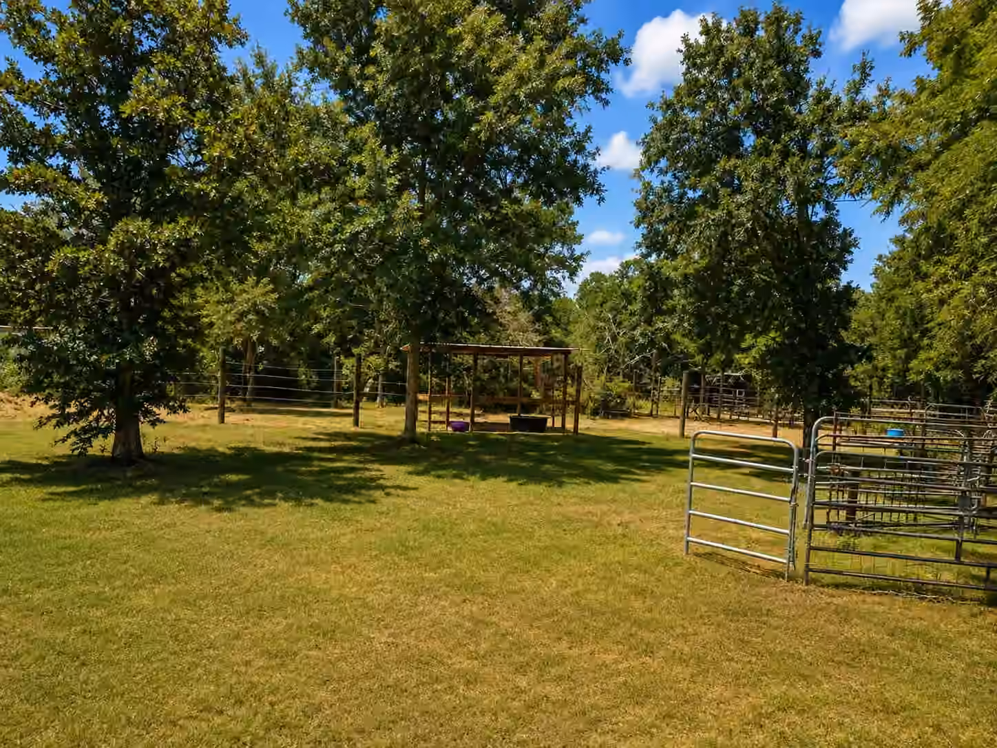 Photo 6 of 3213 BOB MATHEWS ST, Bedias, TX