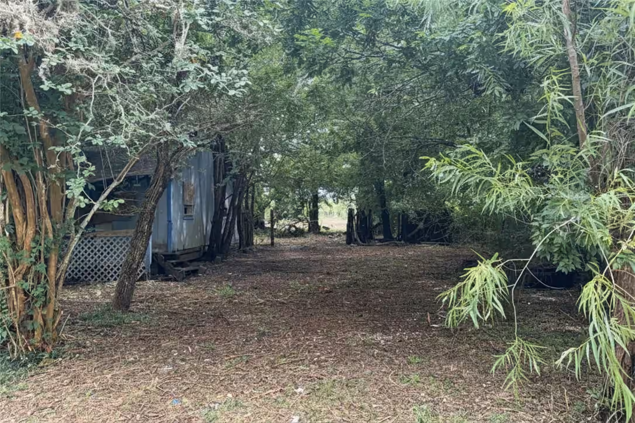 Photo of 8937 Spruce Street, Hitchcock, TX 77563