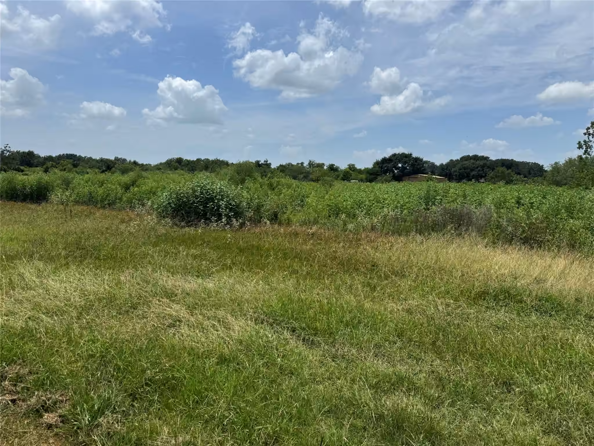Photo 7 of 809 Campbell Road, Eagle Lake, TX