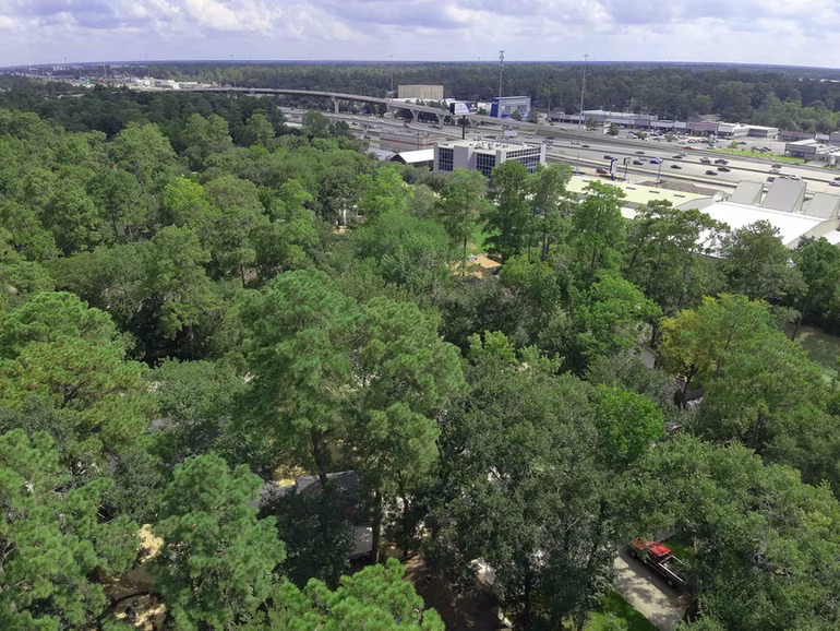 Photo 7 of 2 Rolling Mill Lane, The Woodlands, TX