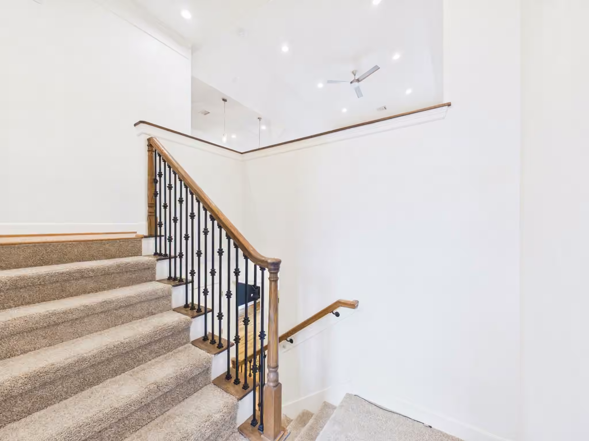 Photo 3 of 10818 Almeda Park Drive, Houston, TX