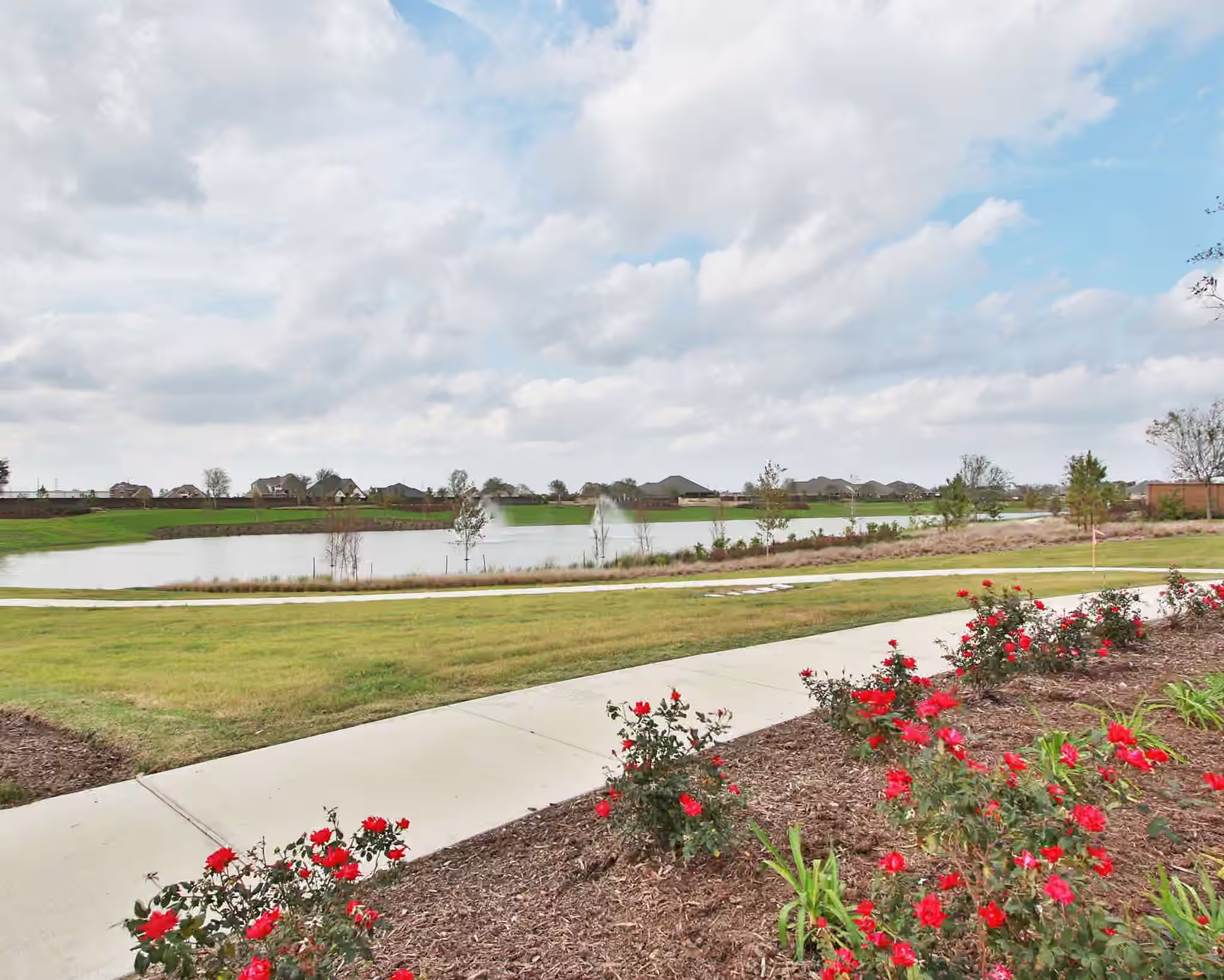 Photo 6 of 6519 King Ranch Loop, Manvel, TX
