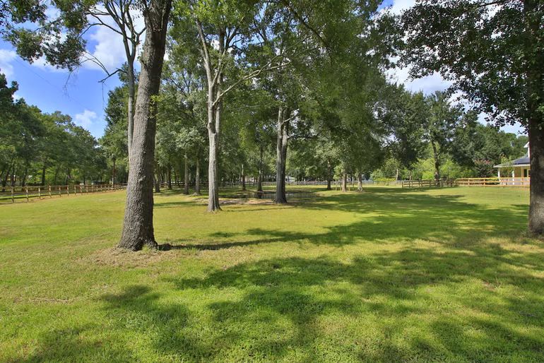 Photo 3 of 30820 Collier Smith Road, Magnolia, TX