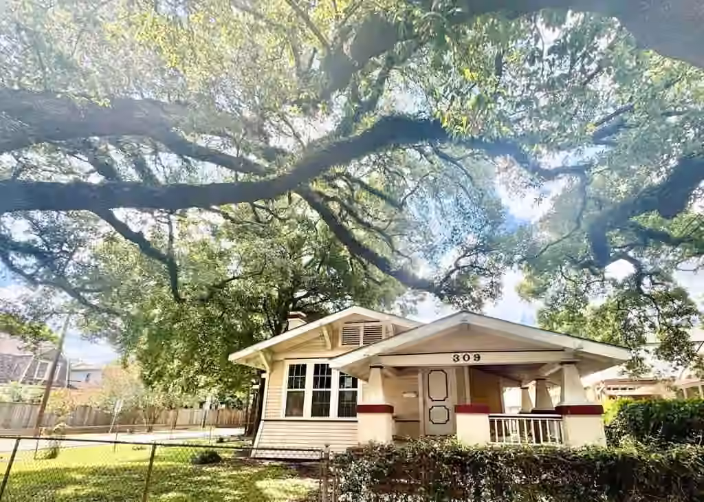 Photo of 309 Bayland Avenue, Houston, TX
