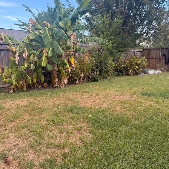 Photo 5 of 2114 Fountain Drive, Sugar Land, TX 77478
