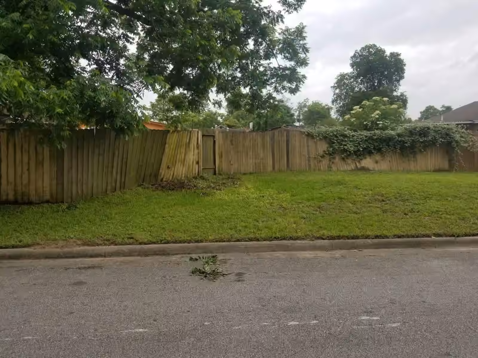 Photo 5 of 1407 Amundsen Street, Houston, TX