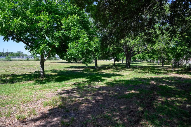Photo 4 of 17215 County Road 831, Pearland, TX