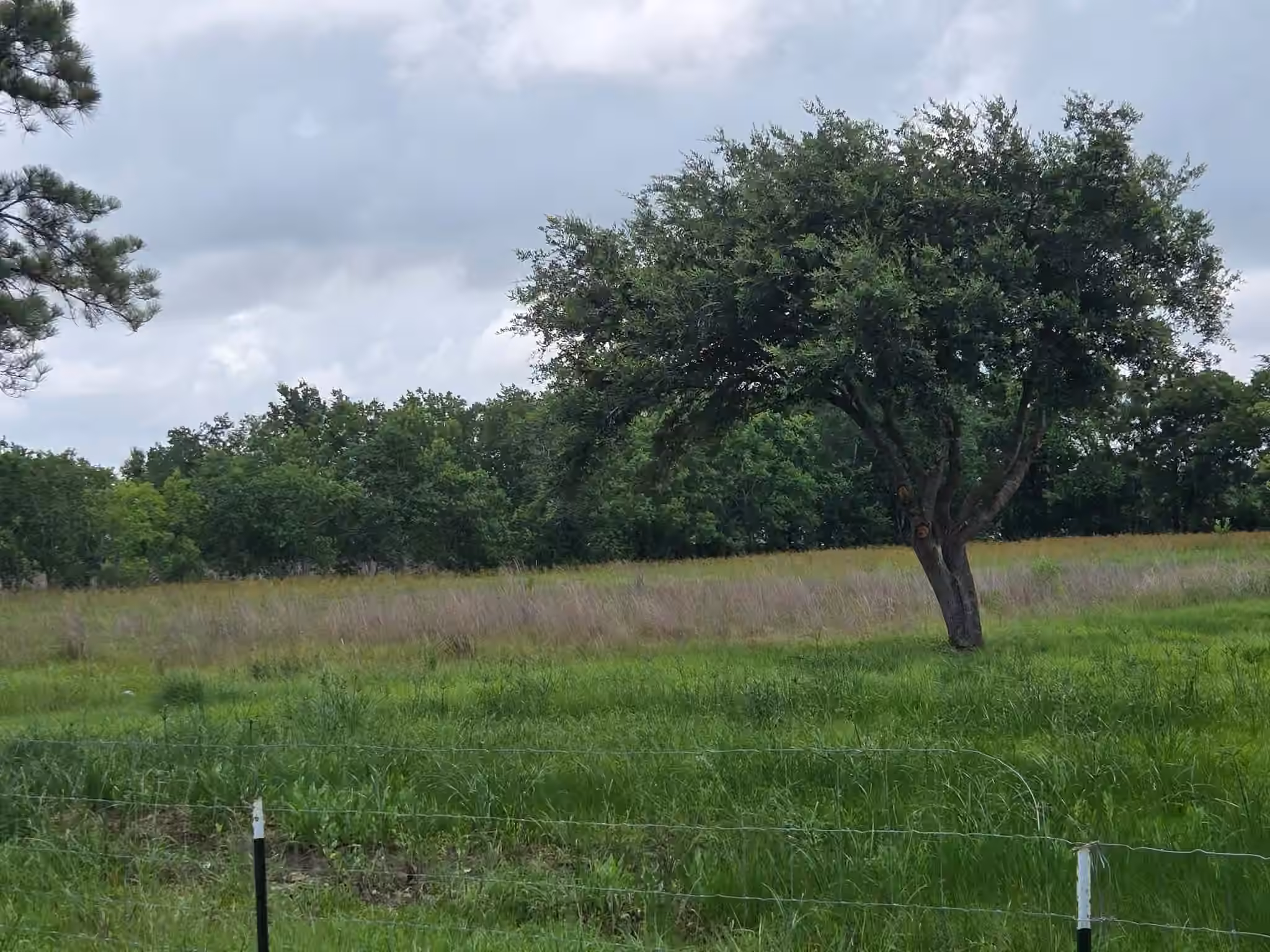 Photo of 8235 County Road 128, Pearland, TX 77511