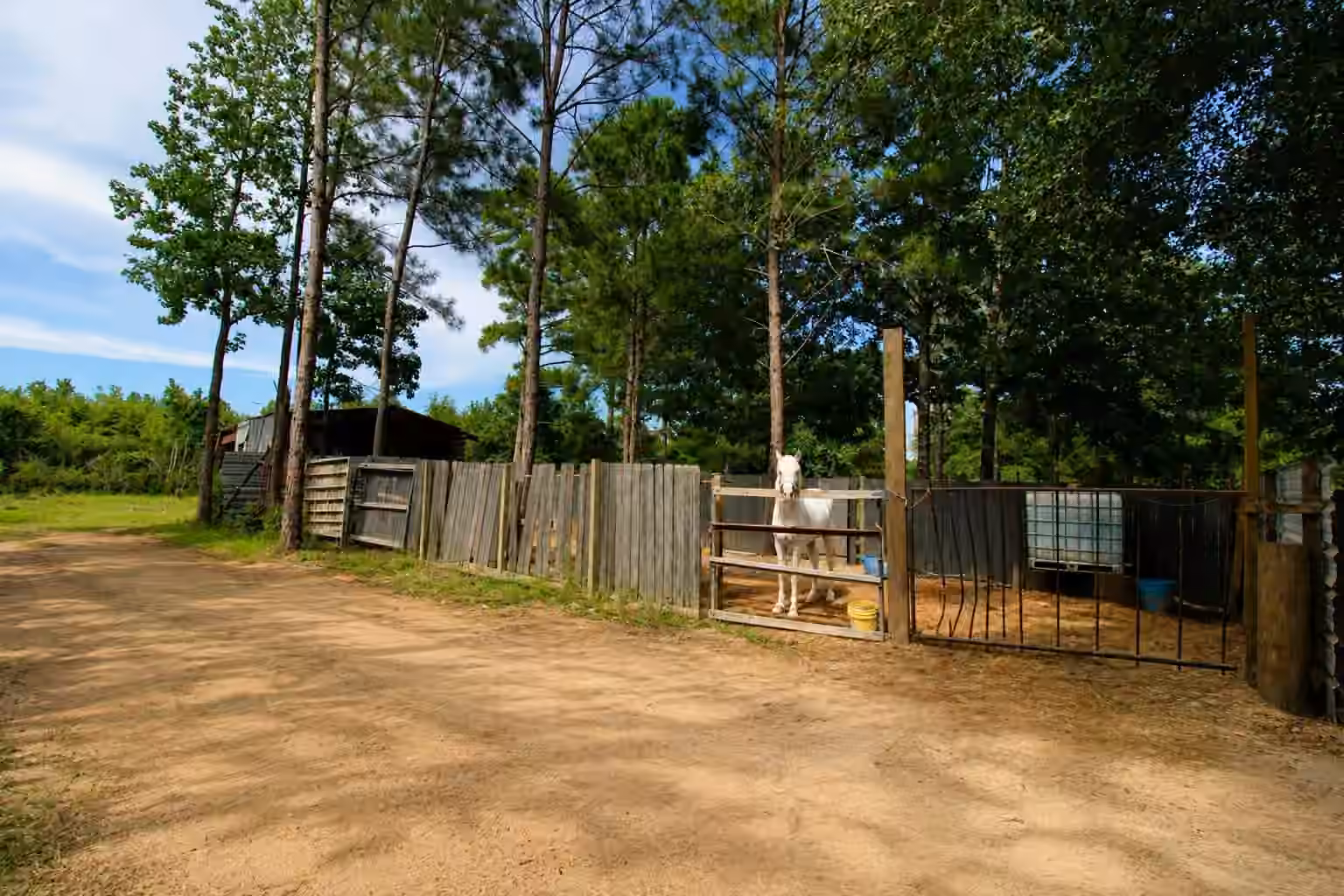 Photo 6 of 2111 County Road 3405, Cleveland, TX