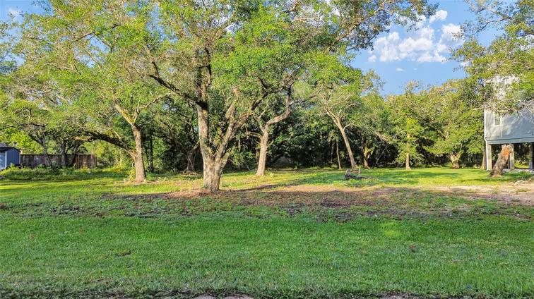 Photo 3 of 6318 Tercero, Brazoria, TX
