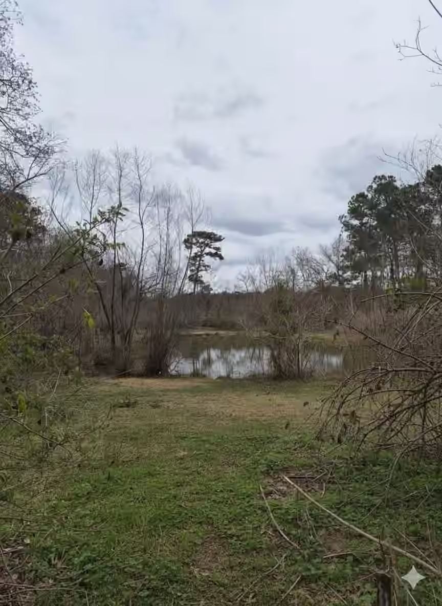 Photo 6 of 14185 Tower Glen Lane, Conroe, TX