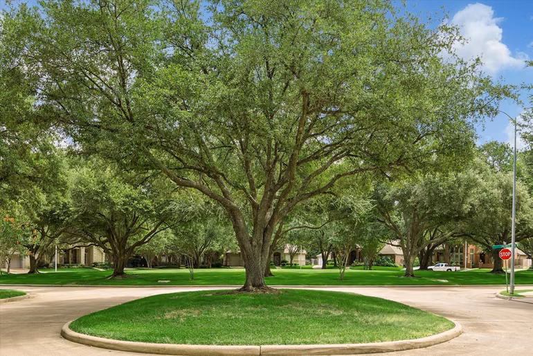 Photo 6 of 1310 Tracewood Cove, Houston, TX