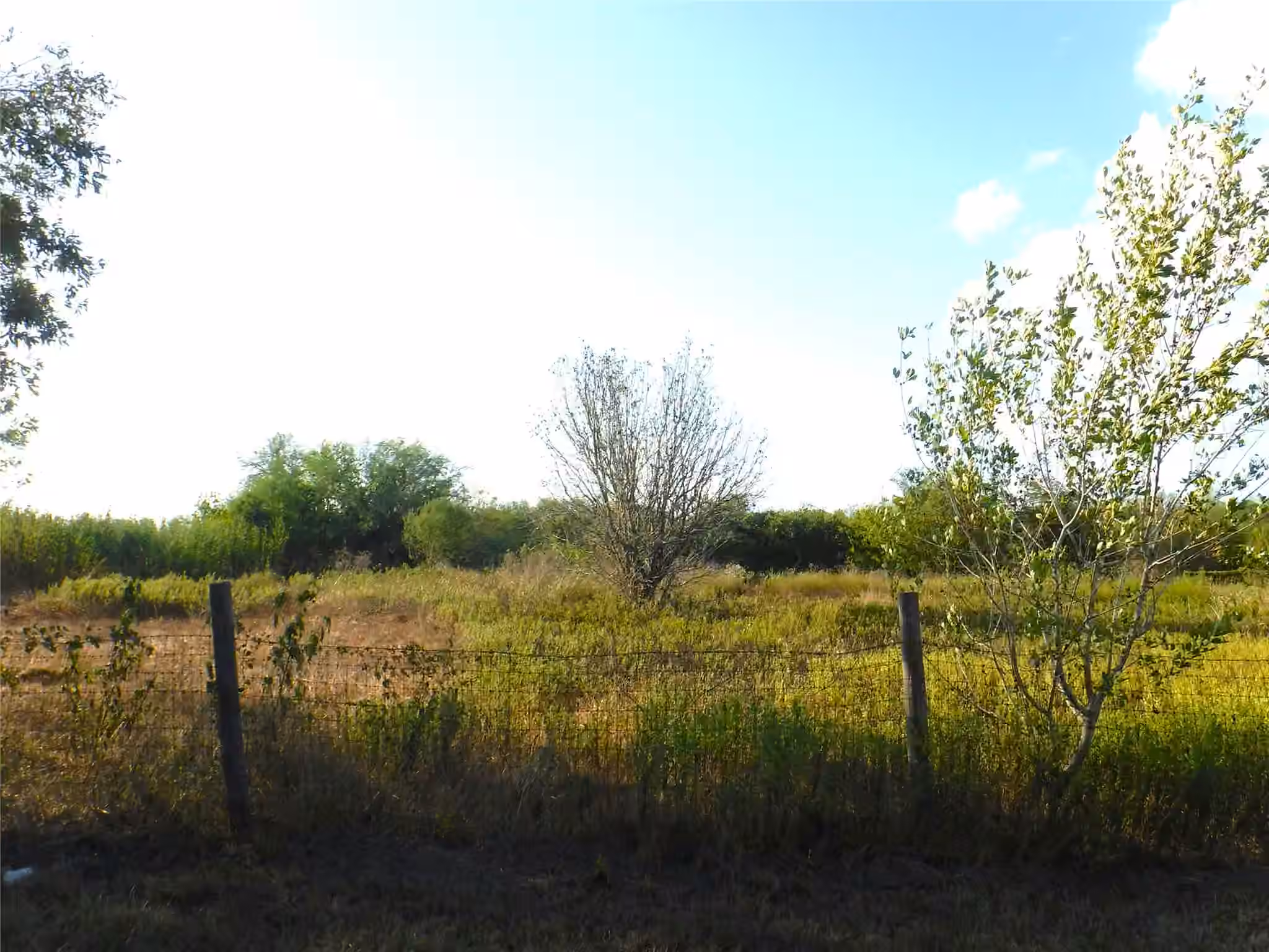 Photo 3 of 1142 Chestnut Lane, Wallis, TX
