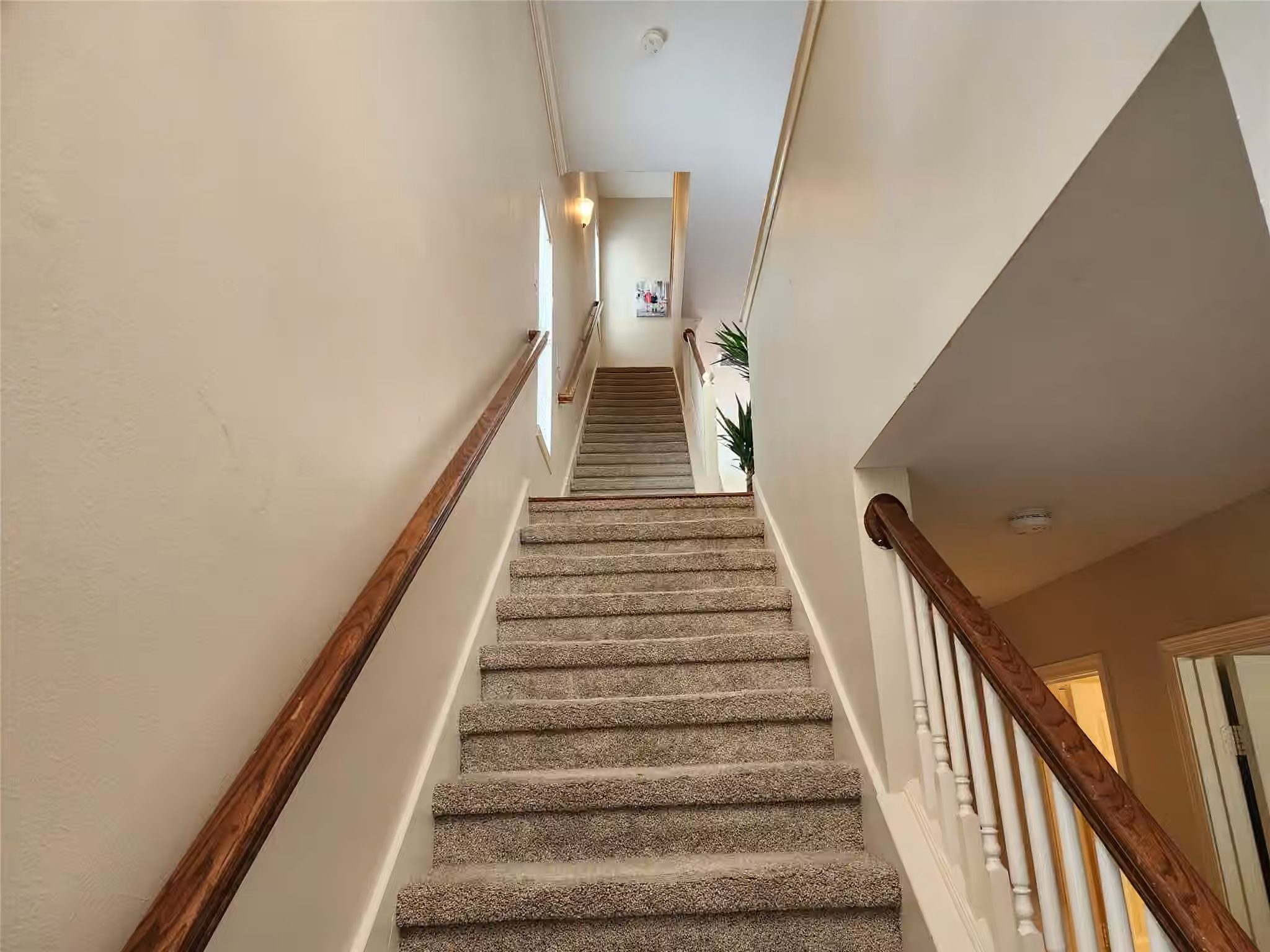 Photo 4 of 2722 Crawford Street, Houston, TX
