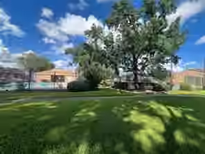 Photo 6 of 10555 Turtlewood Court 1712, Houston, TX