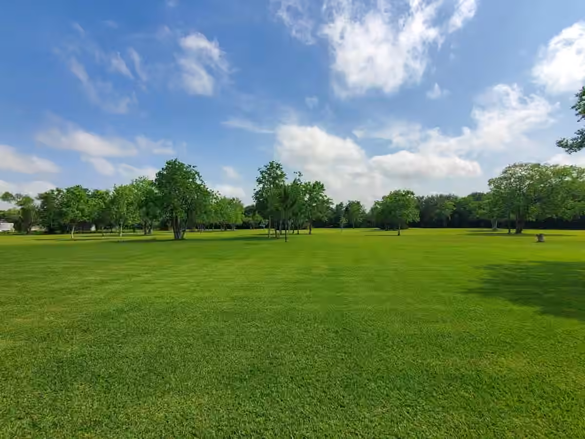 Photo of 7808 Carolyn Street, Santa Fe, TX 77517