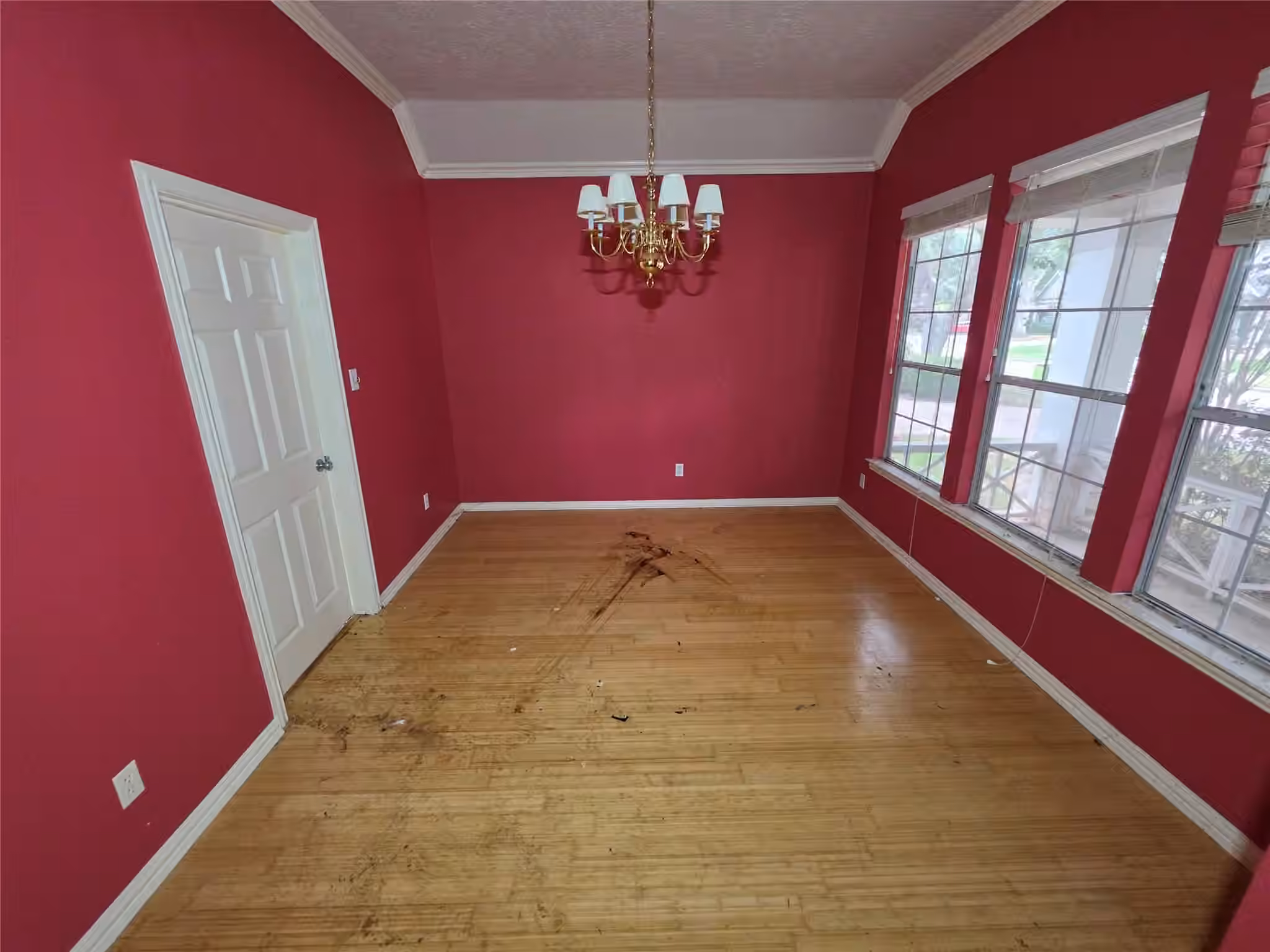 Photo 3 of 10218 Cherry Laurel Lane, Missouri City, TX