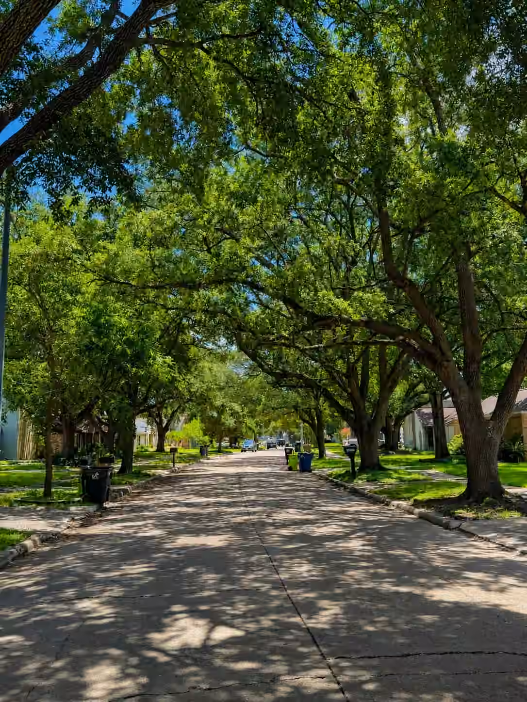 Photo of 15818 Sandy Hill Drive, Houston, TX