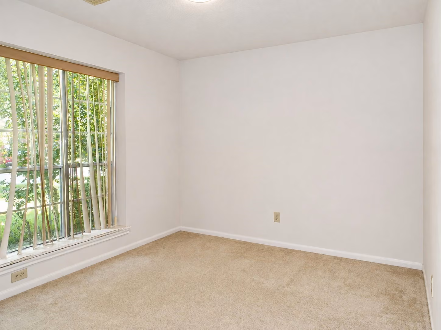 Photo 3 of 3904 Spring Circle Drive E, Pearland, TX