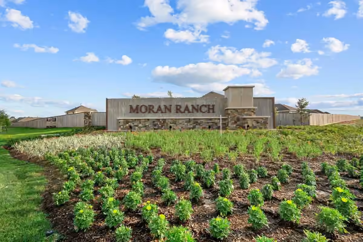 Photo 2 of 233 Mountain Knolls Lane, Willis, TX
