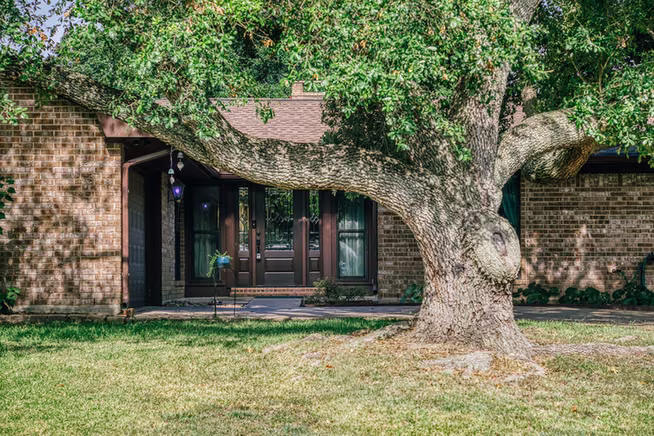 Photo 2 of 104 Machemehl Drive, Bellville, TX