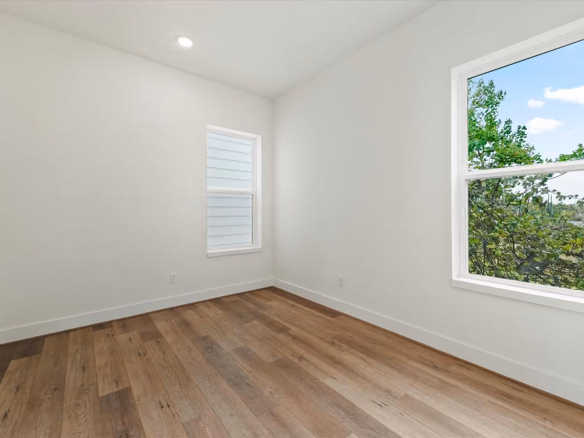 Photo 4 of 1804 Del Norte Street E, Houston, TX