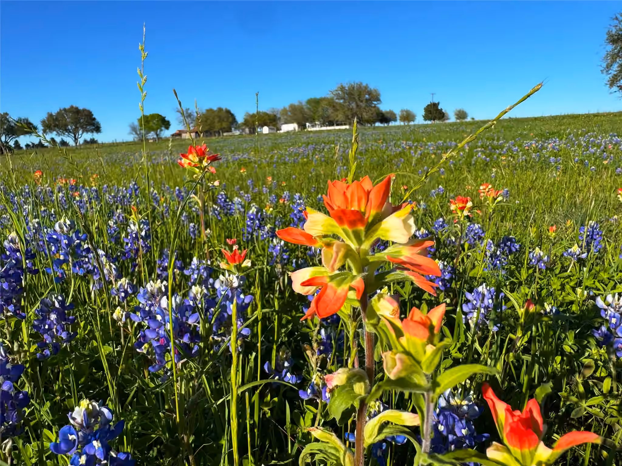 Photo 2 of 9058 Sam Houston Road, Brenham, TX