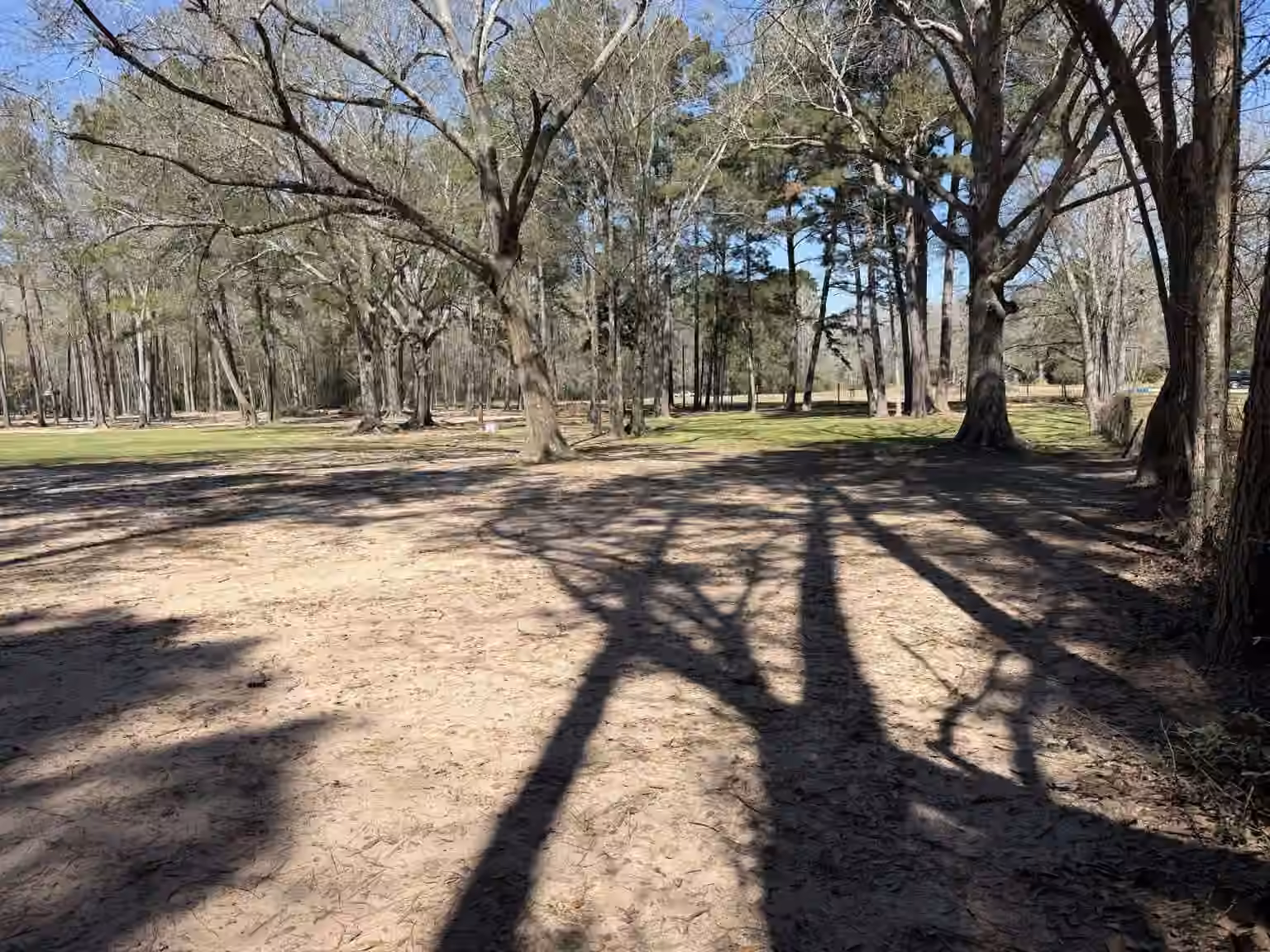 Photo 7 of 1166 County Road 3663, Splendora, TX