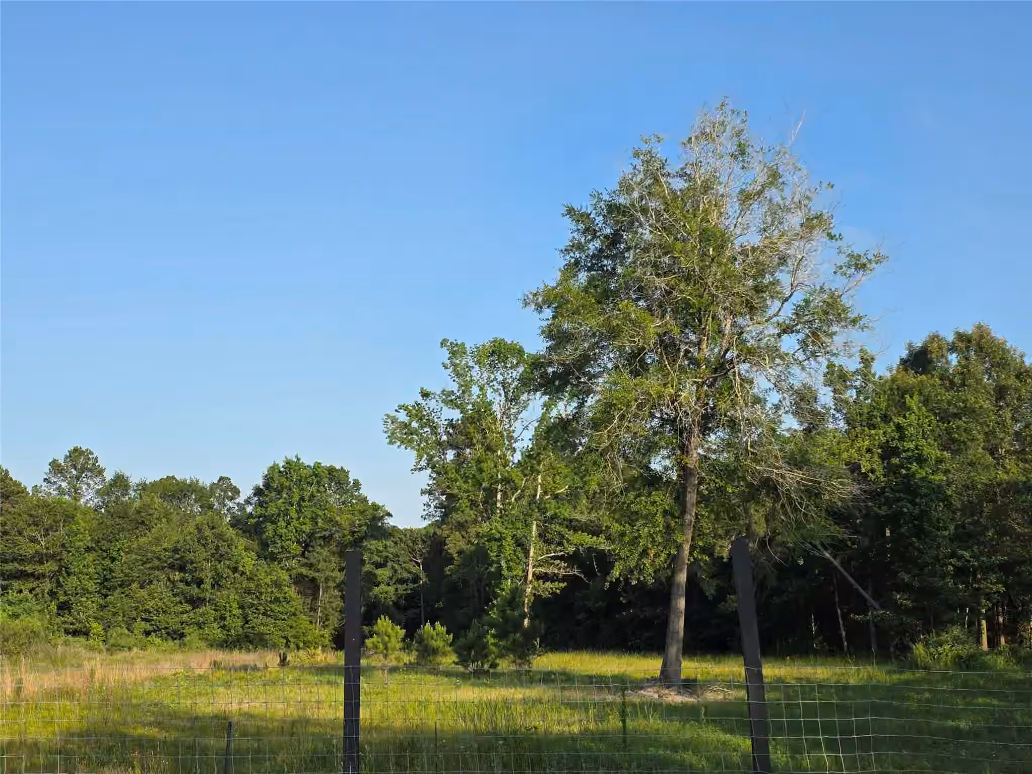 Photo 2 of 1322 Road 5263, Cleveland, TX