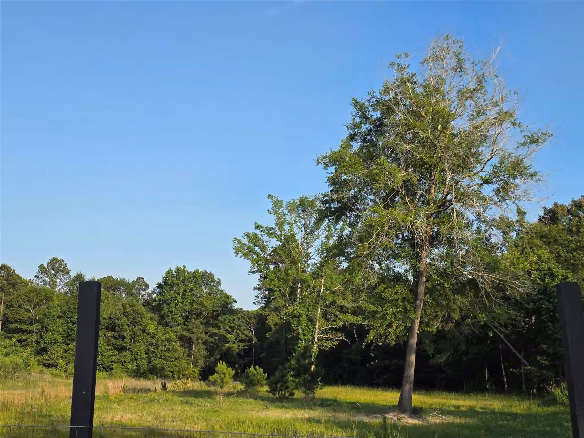 Photo 3 of 1322 Road 5263, Cleveland, TX