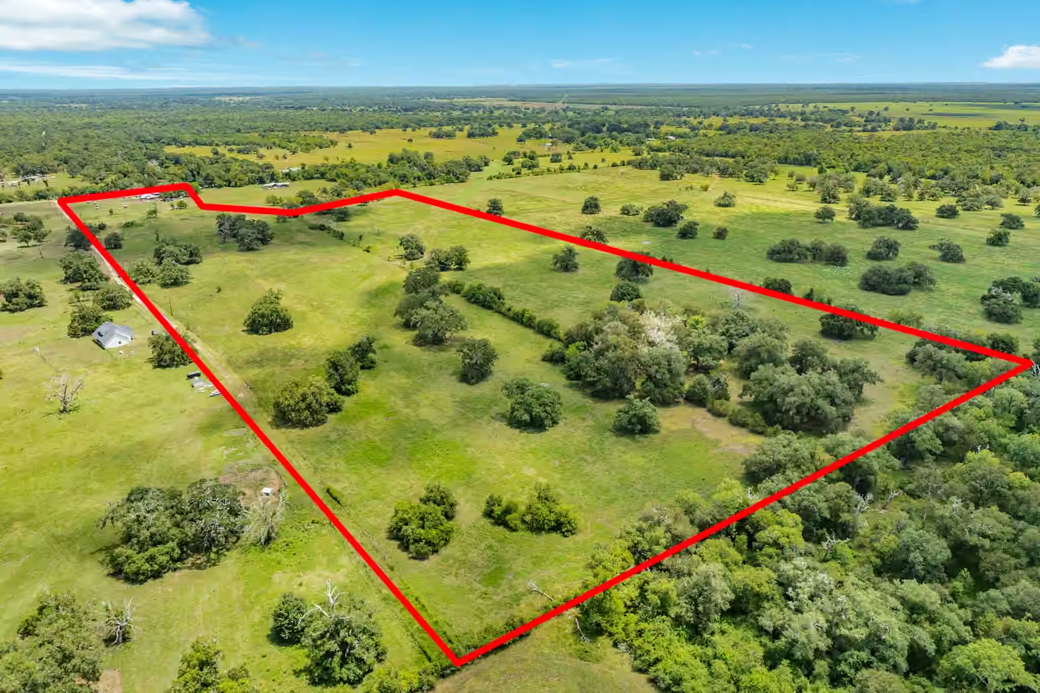 Photo 5 of 438 County Road 164, Cedar Lane, TX