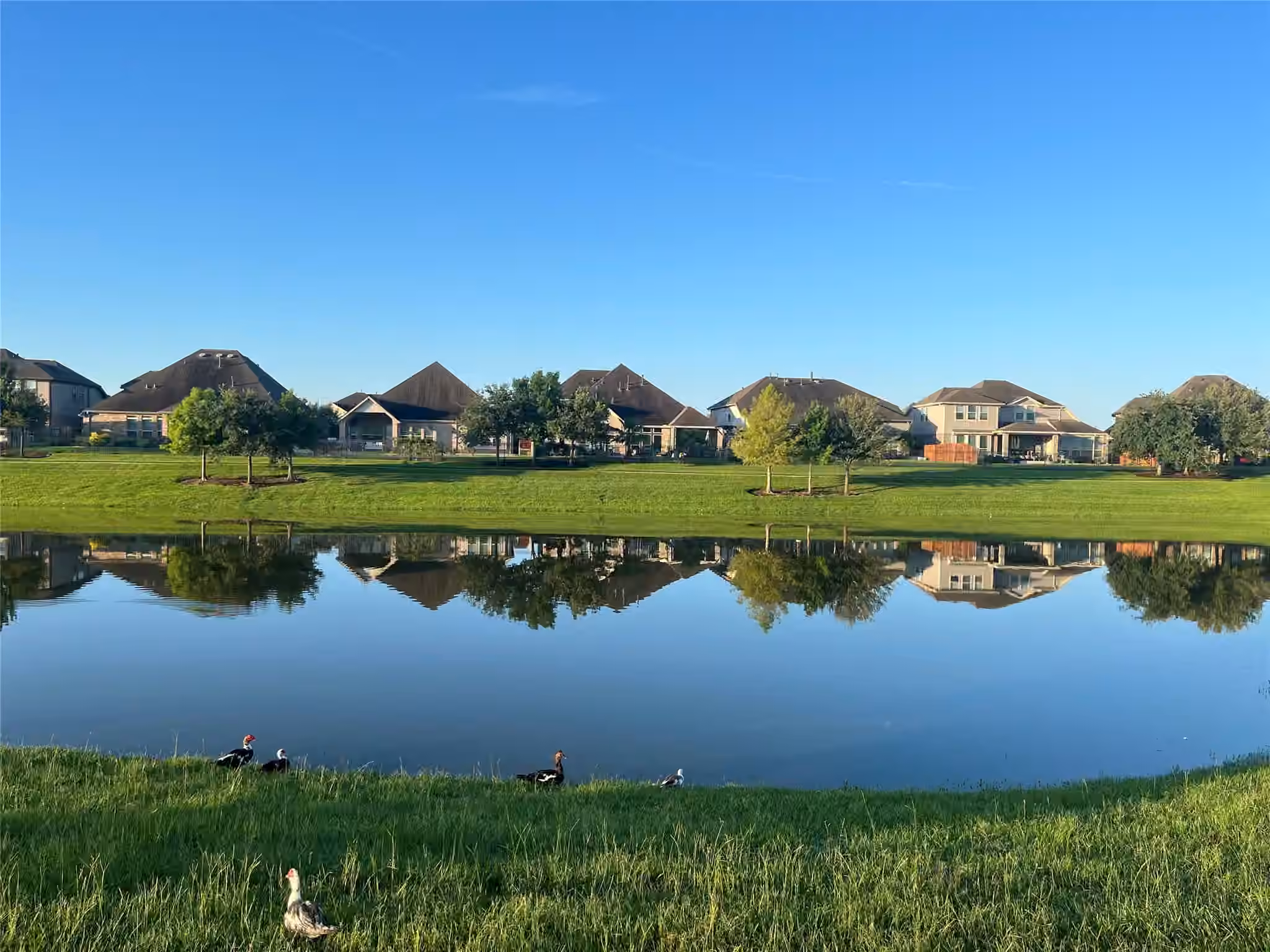 Photo 5 of 15414 Wildpoint Drive, Cypress, TX
