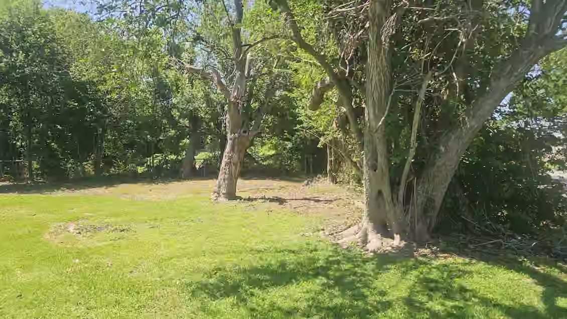 Photo 6 of 7502 Bywood Street, Houston, TX