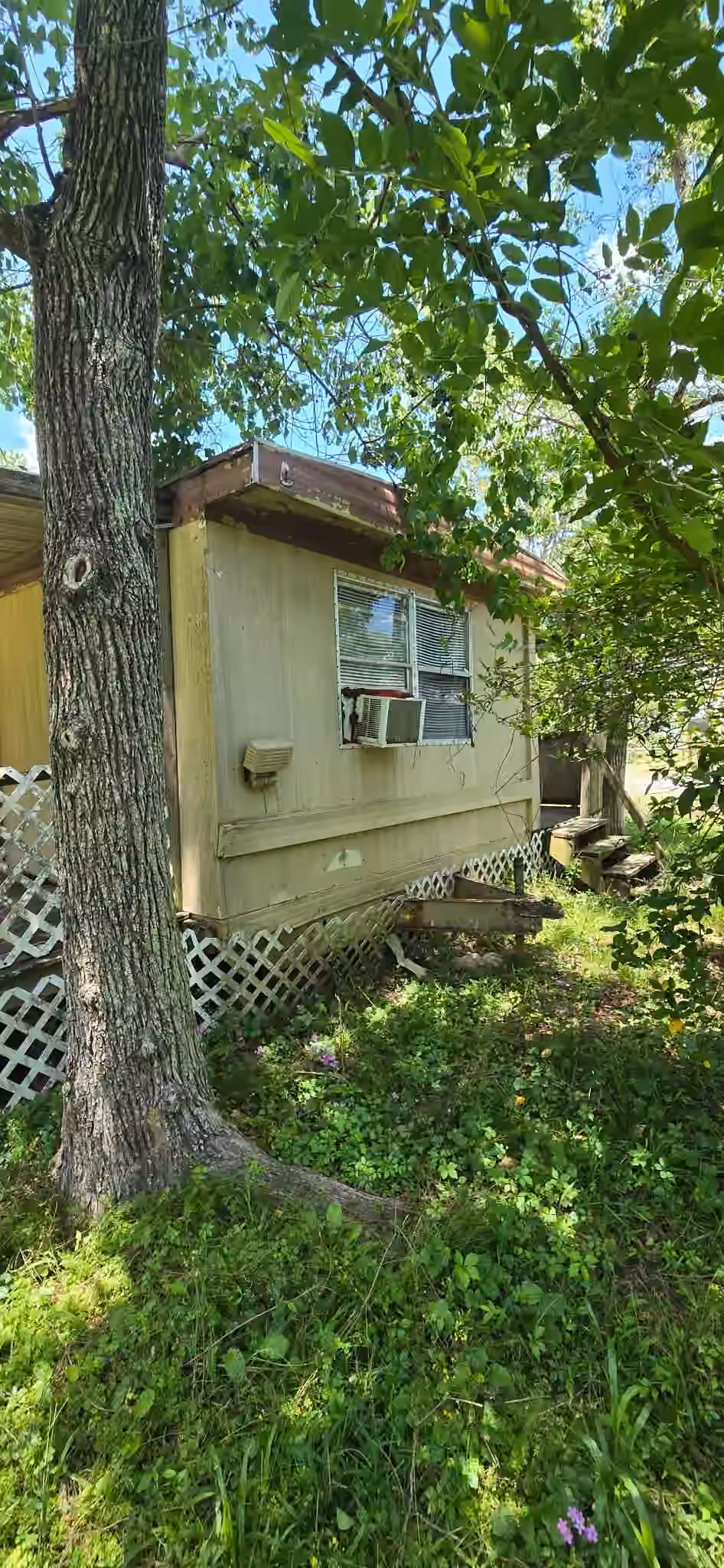 Photo 3 of 18844 Forest Lane Circle, New Caney, TX