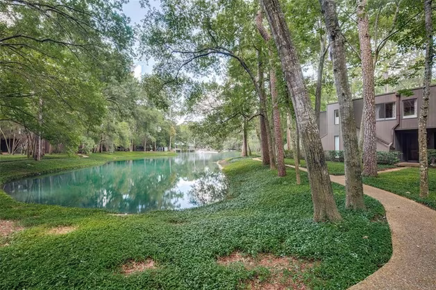 Photo of 49 Litchfield Lane, Houston, TX